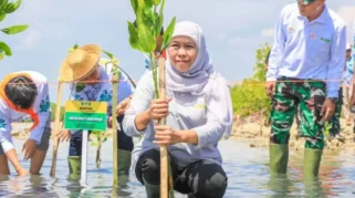 Hari Bumi 2026: Central Park Mall Gelar Greeneration dan Telkom Lakukan Konservasi Mangrove serta Terumbu Karang