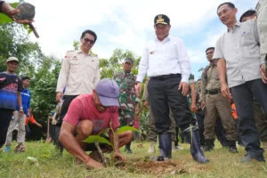 Hari Bumi, Pemkab Situbondo Bersama Warga Tanam 2 Ribu Pohon untuk Mitigasi Banjir dan Longsor