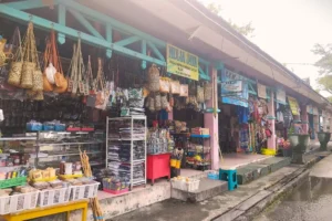 IKN Punya Pasar Bak Negara Maju, Penampakannya Tak Terduga