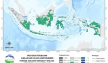 Indonesia Siap Hadapi El Nino Godzilla Mulai April, BMKG dan BRIN Ungkap Proyeksi