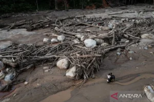 Inflasi di Tiga Provinsi Sumatera Terdampak Bencana Membaik, Kata Mendagri