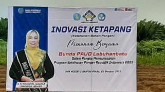 Inovasi Gema Sahabat Bunda PAUD Labuhanbatu Panen Hasil Ketahanan Pangan di TK Pembina