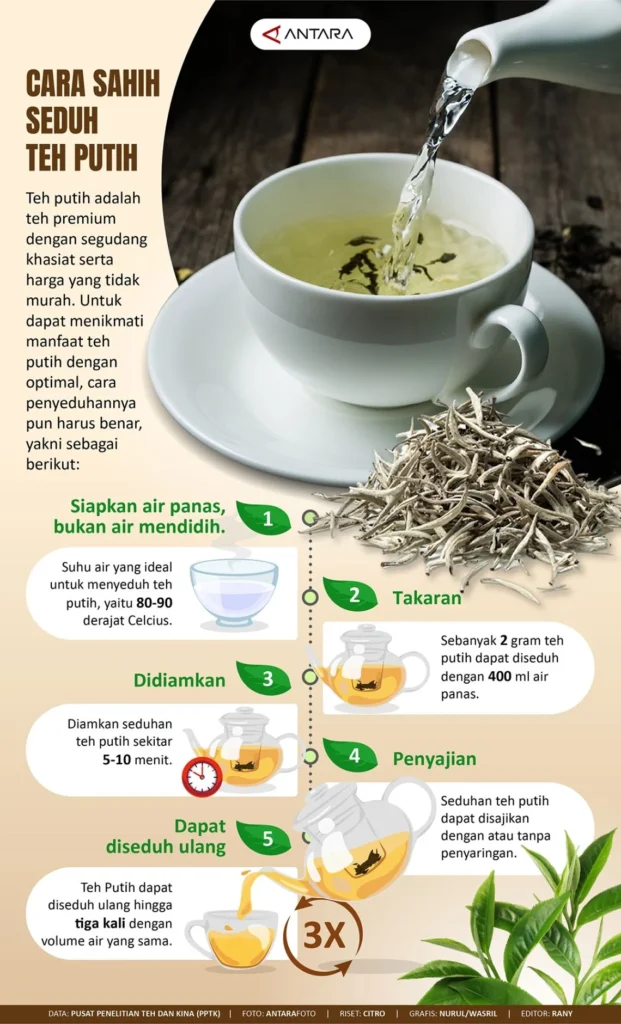 Integrasi Teh Putih dalam Gaya Hidup Sehari-hari