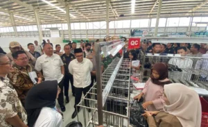 Investasi Jember 2025 Naik 70 Persen, Lampaui Target RPJMD