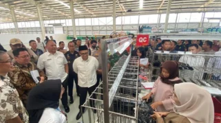 Investasi Jember 2025 Naik 70 Persen, Lampaui Target RPJMD