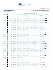 Jadwal Pasang Surut dan Waktu Terbaik untuk Berselancar di Sawarna Srikandi