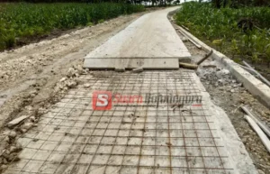 Jalan Beton Senilai Rp 2,8 M di Klino Bojonegoro Retak, Dibongkar Usai Selesai Dibangun