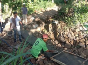 Jalan Rusak Karena Truk Tebu, Kades: Warga Perbaiki Swadaya di Bondowoso