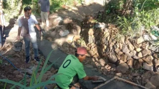 Jalan Rusak Karena Truk Tebu, Kades: Warga Perbaiki Swadaya di Bondowoso