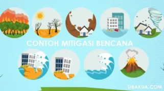 Jember Tangani 276 Bencana Awal 2026, Upaya Mitigasi dan Tantangan