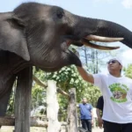 Kapolda Riau Suarakan Keadilan Gajah di Festival Panggung Konservasi