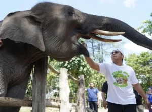 Kapolda Riau Suarakan Keadilan Gajah di Festival Panggung Konservasi