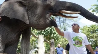 Kapolda Riau Suarakan Keadilan Gajah di Festival Panggung Konservasi