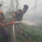 Karhutla Meningkat, 1.351 Titik Api di Konsesi Perusahaan; Walhi Soroti Penegakan Hukum Lingkungan