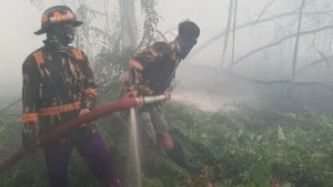 Karhutla Meningkat, 1.351 Titik Api di Konsesi Perusahaan; Walhi Soroti Penegakan Hukum Lingkungan