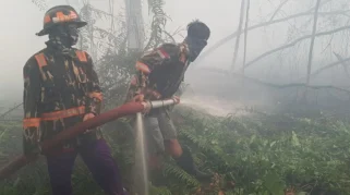 Karhutla Meningkat, 1.351 Titik Api di Konsesi Perusahaan; Walhi Soroti Penegakan Hukum Lingkungan