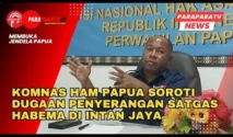 Kata Komnas HAM soal Satgas Habema Diduga Tewaskan Sipil di Papua