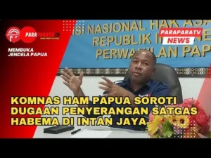 Kata Komnas HAM soal Satgas Habema Diduga Tewaskan Sipil di Papua