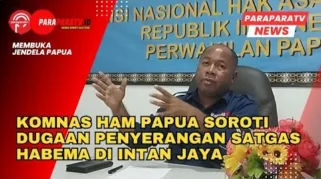 Kata Komnas HAM soal Satgas Habema Diduga Tewaskan Sipil di Papua