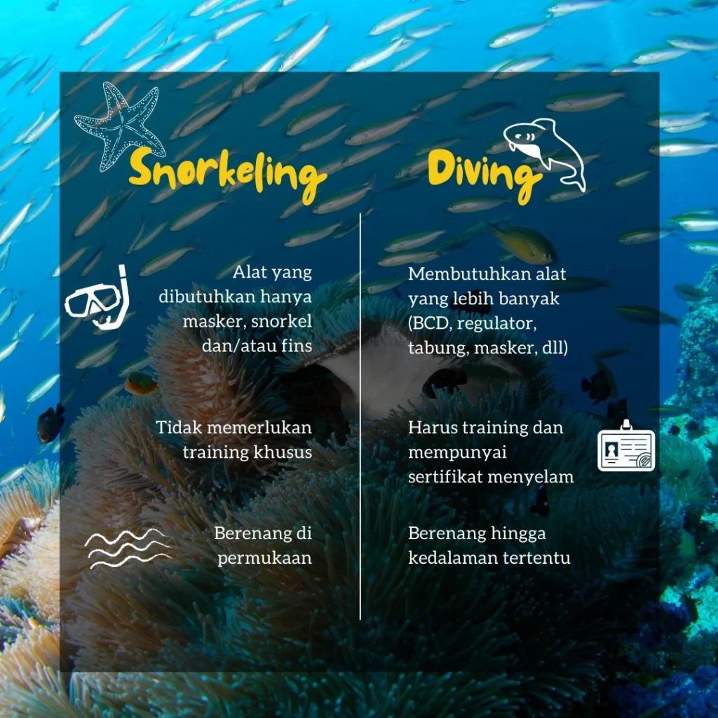 Keamanan dan Protokol Selama Snorkeling/Diving