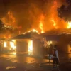 Kebakaran Hebat Hanguskan Rumah Warga di Lingkungan Tanjung Jember