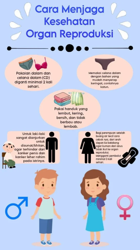 Kebiasaan Sehat untuk Menjaga Organ Reproduksi