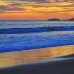 Keindahan Sunset di Pantai Sukamade: Panduan Lengkap untuk Penikmat Alam