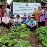 Kelompok Wanita Tani Lasem Ubah Lahan Kosong Jadi Kebun Sayur untuk Tingkatkan Ketahanan Pangan
