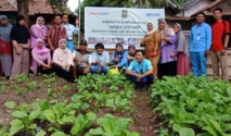 Kelompok Wanita Tani Lasem Ubah Lahan Kosong Jadi Kebun Sayur untuk Tingkatkan Ketahanan Pangan