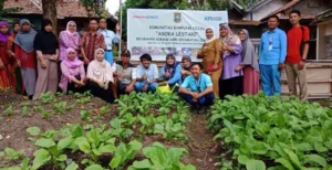 Kelompok Wanita Tani Lasem Ubah Lahan Kosong Jadi Kebun Sayur untuk Tingkatkan Ketahanan Pangan