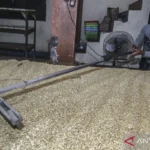 Kenaikan Harga Kedelai Dorong Produsen Tahu dan Tempe Kurangi Ukuran Produk