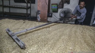 Kenaikan Harga Kedelai Dorong Produsen Tahu dan Tempe Kurangi Ukuran Produk