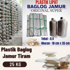 Kenaikan Harga Plastik Membebani UMKM Jamur Tiram di Banyuwangi