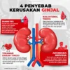 Kenapa Cairan Penting untuk Ginjal?