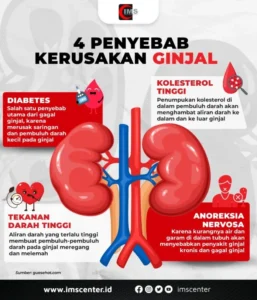 Kenapa Cairan Penting untuk Ginjal?