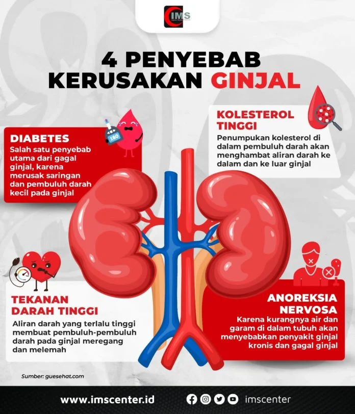 Kenapa Cairan Penting untuk Ginjal?