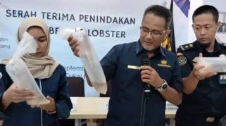 Koper Berisi 37.000 Benih Lobster Senilai Rp 2 Miliar Digagalkan Polisi di Soetta, Lima Pelaku Ditangkap