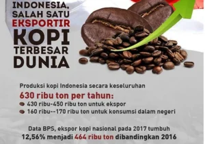 Kopi Indonesia Perluas Jejak Global lewat Ekspor Premium dan Ekspansi Ritel