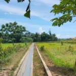 Lamongan Terima Bantuan Sistem Irigasi dari Kementan untuk Jaga Produksi Pangan Musim Kemarau