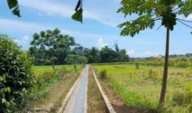 Lamongan Terima Bantuan Sistem Irigasi dari Kementan untuk Jaga Produksi Pangan Musim Kemarau