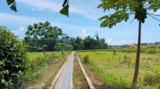 Lamongan Terima Bantuan Sistem Irigasi dari Kementan untuk Jaga Produksi Pangan Musim Kemarau