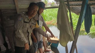 Lansia 77 Tahun Hilang Saat Menjala Ikan di Sungai Ciliwung, Bogor