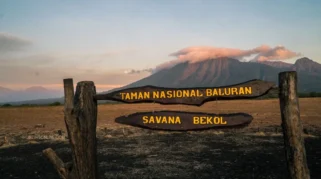 Lokasi SPBU terdekat dari Taman Nasional Baluran yang Patut Diperhatikan