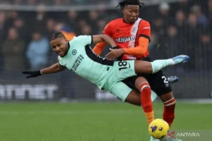 Luton Town Raih Kemenangan Penting di Kenilworth Road, Sementara Dukungan Veteran Ditingkatkan di Kota