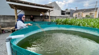 Mahasiswa KKN Unmuh Jember Perkenalkan Budidaya Ikan Lele sebagai Media Edukasi Anak Usia Dini