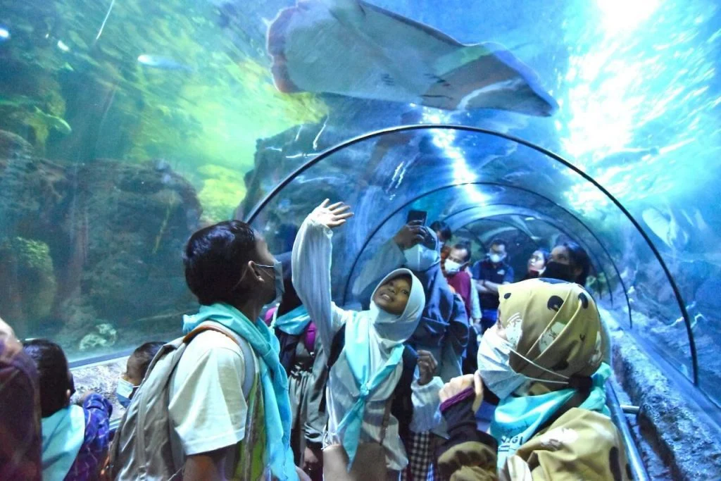 Manfaat Jangka Panjang dari Wisata Edukasi Marine Life
