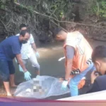 Mayat Bayi Laki-laki Ditemukan Mengambang di Sungai Kembiritan, Banyuwangi