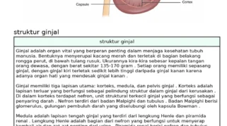 Memahami Fungsi dan Risiko Ginjal