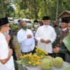 Mendes PDT Serahkan 2 Juta Bibit Kelapa dan Pinang untuk Warga Pariaman