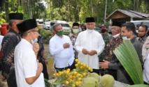 Mendes PDT Serahkan 2 Juta Bibit Kelapa dan Pinang untuk Warga Pariaman